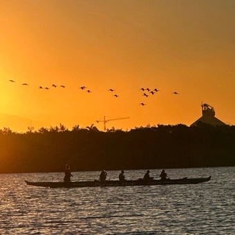 Remada do Por do Sol + Revoada dos Guarás